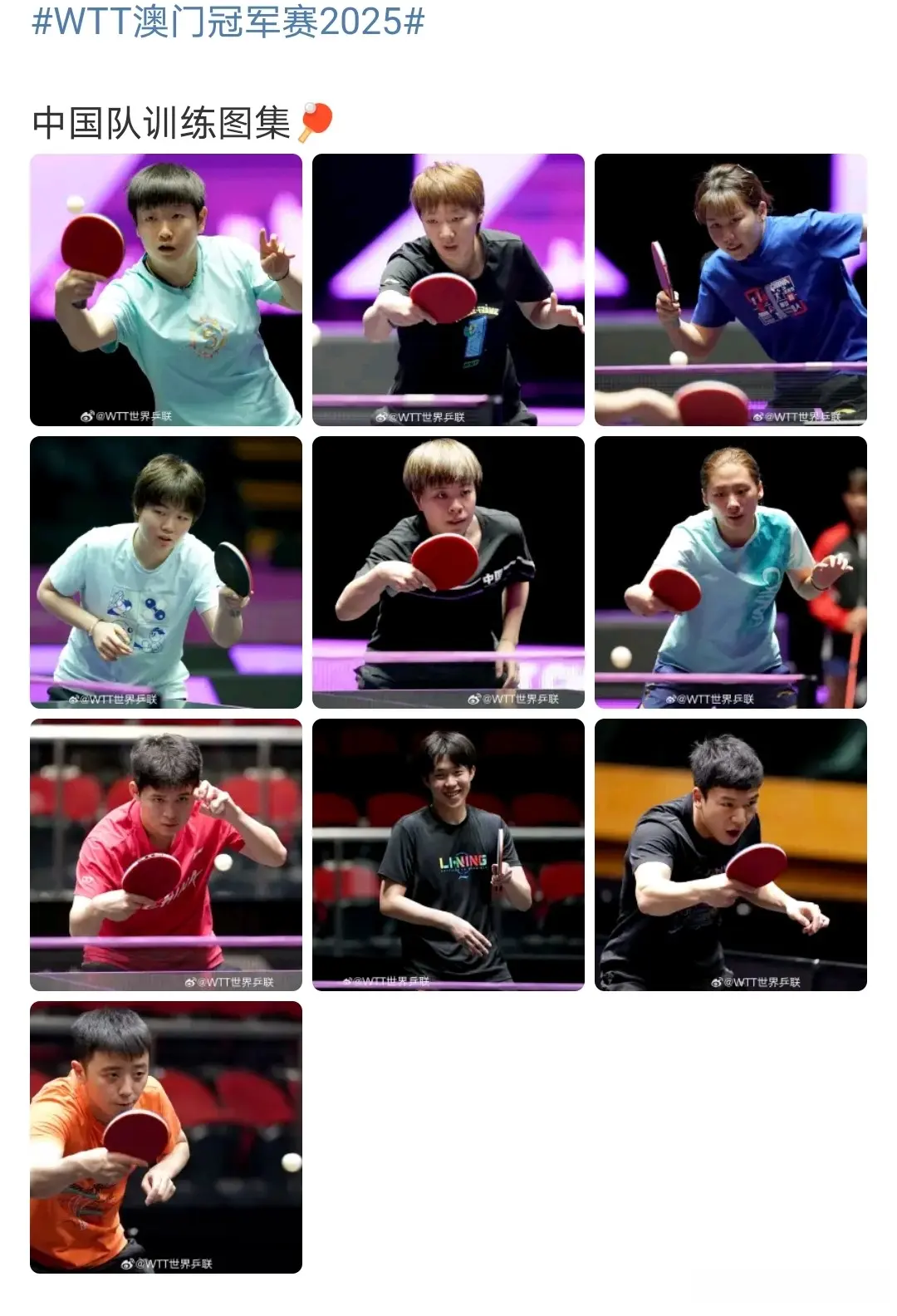 友政, 虽然没有能, 备战 友政, 虽然没有能, 备战