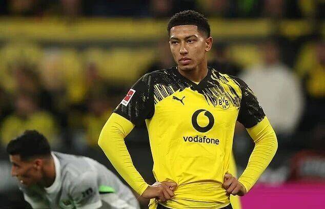 自己的职业 自己的职业