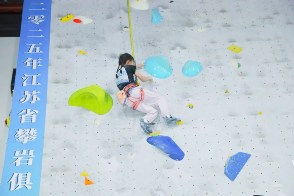 体的广泛报